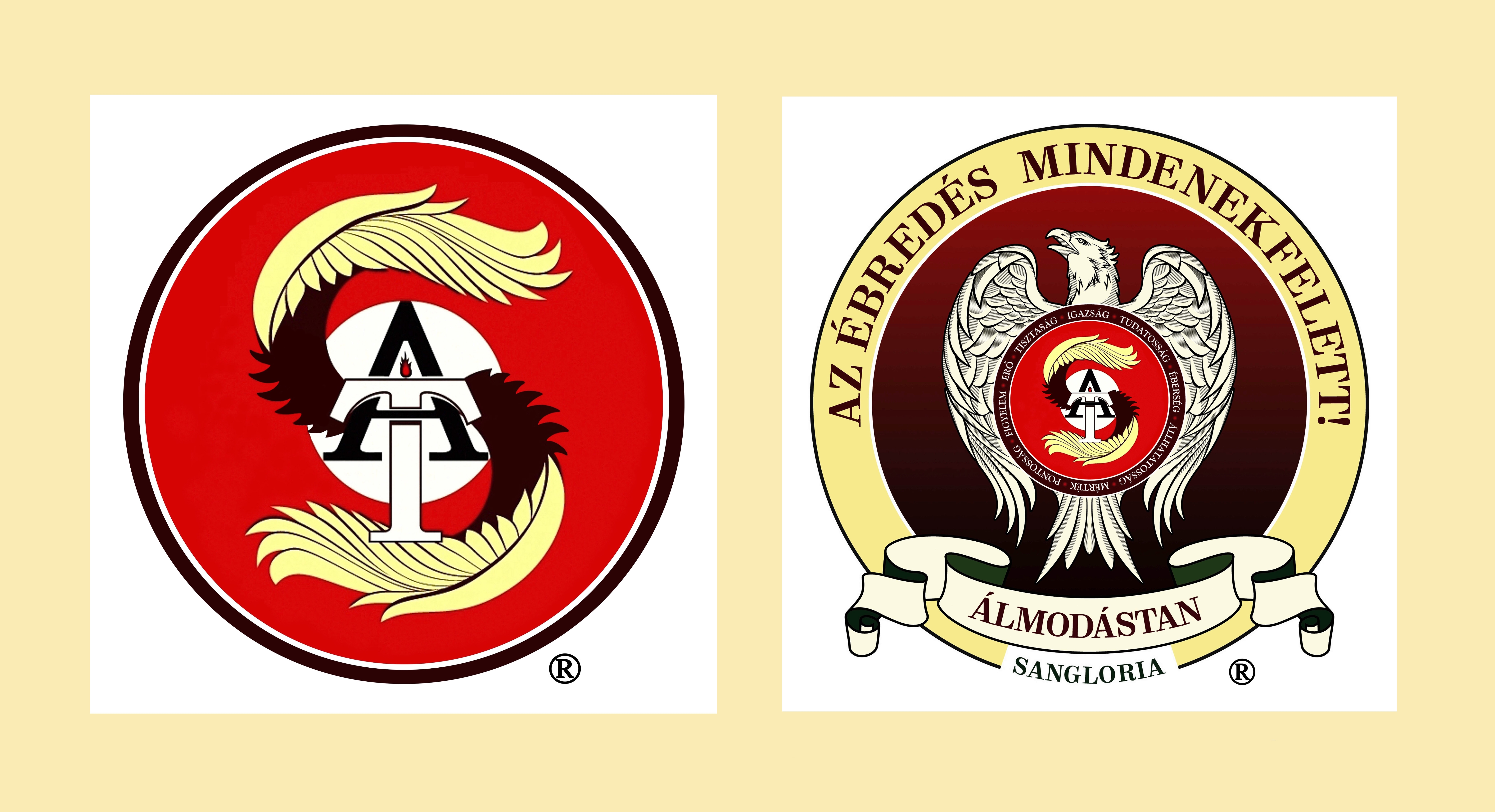 Hivatalos v&eacute;djegy 1